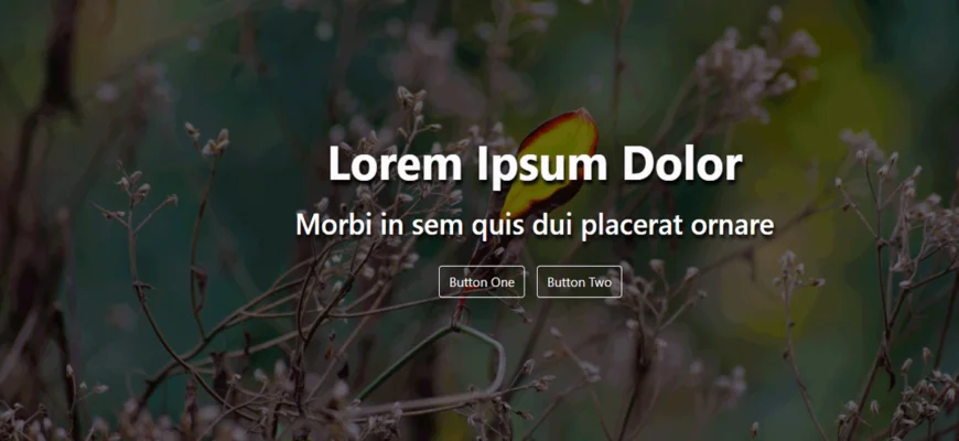 1751965526238.webp