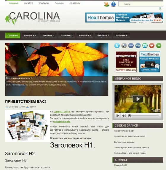 1783009066193.webp