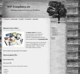1786377044466.webp